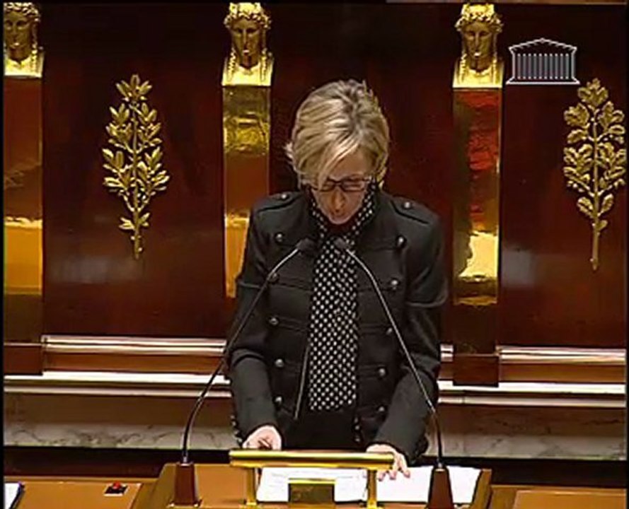 Projet de loi relatif à la copie privée - Intervention de la rapporteur (séance publique)