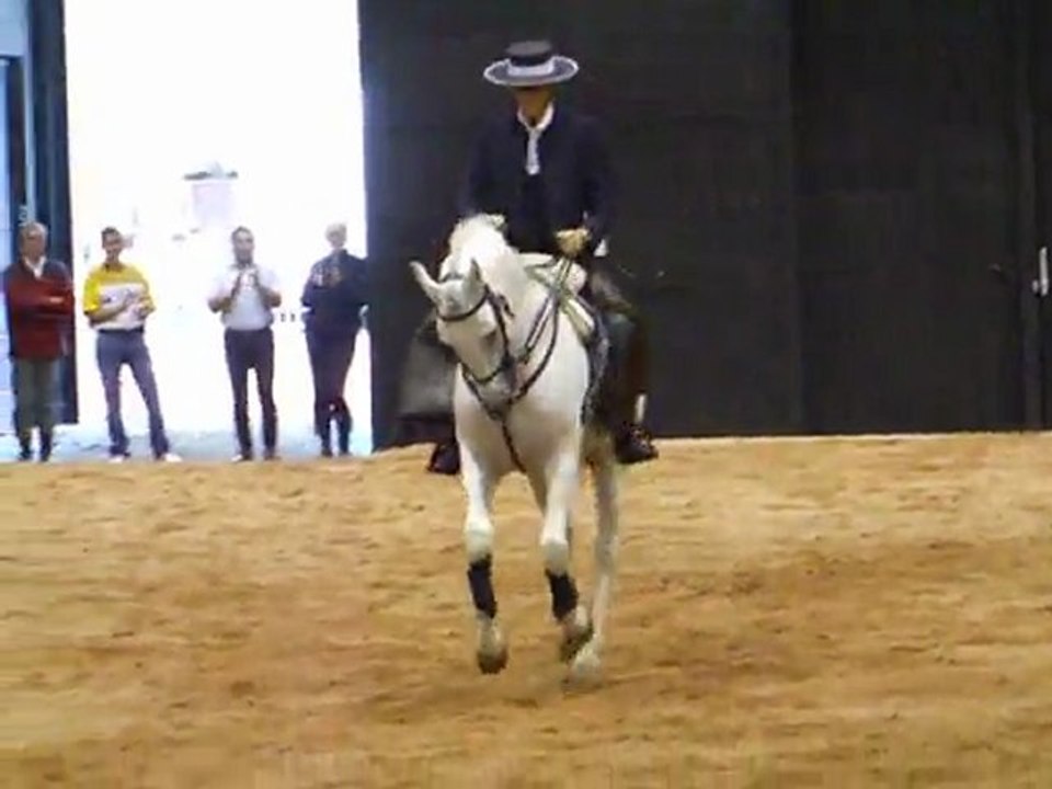 SAO Etalon Lusitanien Spectacle Roanne 2009 suite