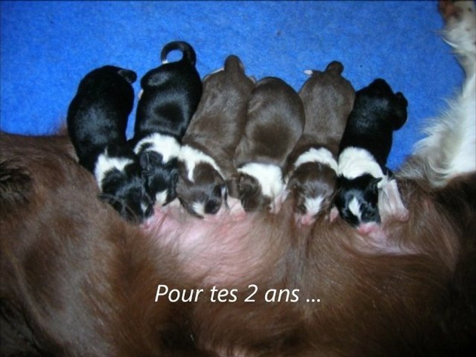 Eaven 2 ans