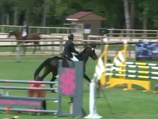 TZIGANE DE LA VIOLLE - Finale 4 ans - FONTAINEBLEAU - SIMON LORRAIN