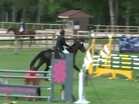 TZIGANE DE LA VIOLLE - Finale 4 ans - FONTAINEBLEAU - SIMON LORRAIN