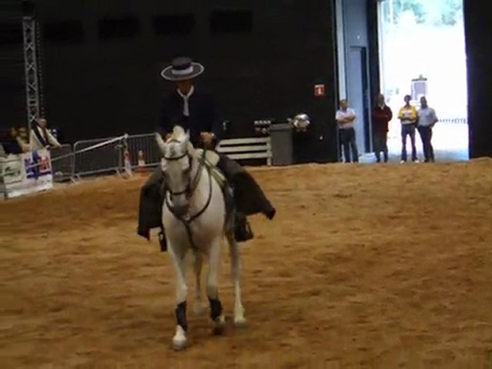 SAO Etalon Lusitanien Spectacle Roanne 2009 suite et fin