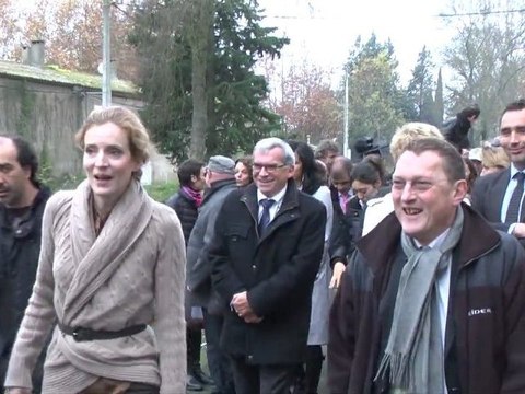 Une campagne de plantation de platanes pour la sauvegarde du Canal du Midi :