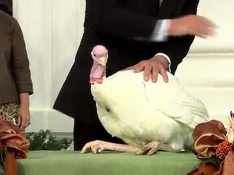 Obama gives Liberty, Peace a chance in turkey pardons