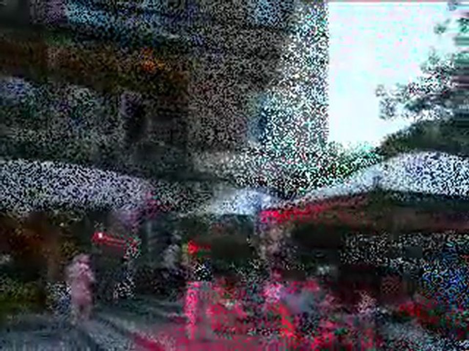 Altarimini. Grande successo dell "Notte rosa 2009"