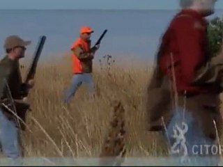 Browning Citori Shotgun - Avyaban.com - ergo