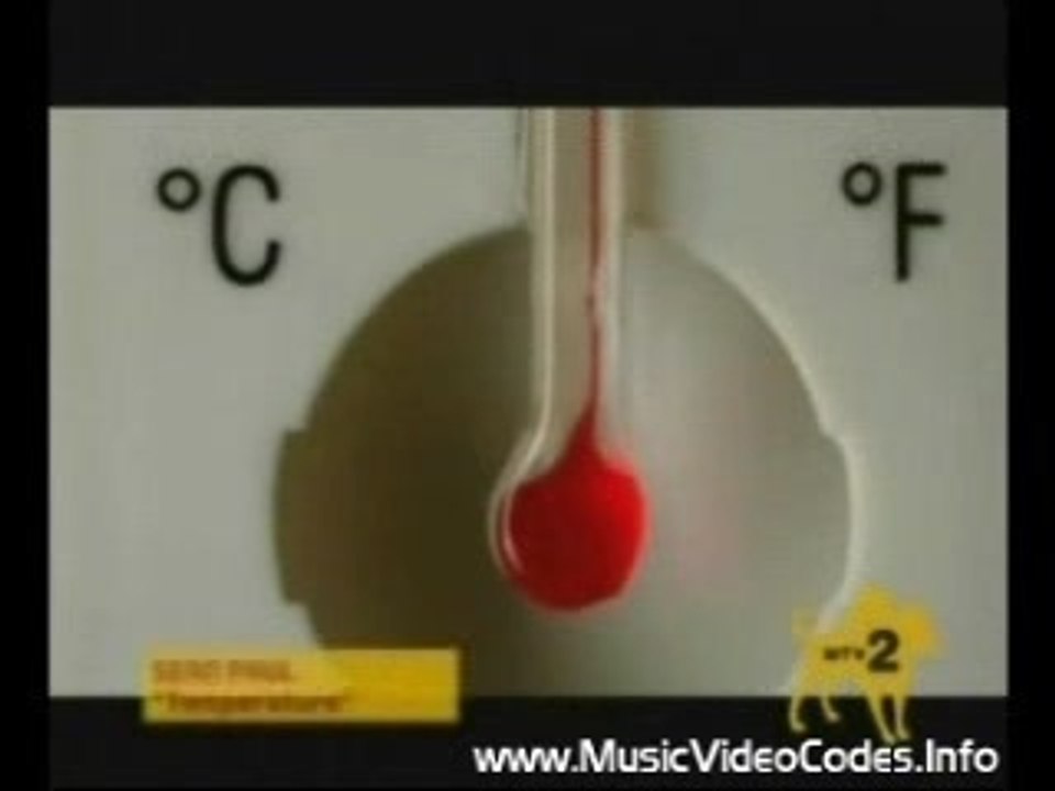 Sean Paul Temperature (Clip)