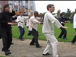 TAI JI QUAN YANG SAU CHUNG (Part 1)