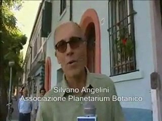 Altarimini. IX Convegno Internazionale di FlowForm