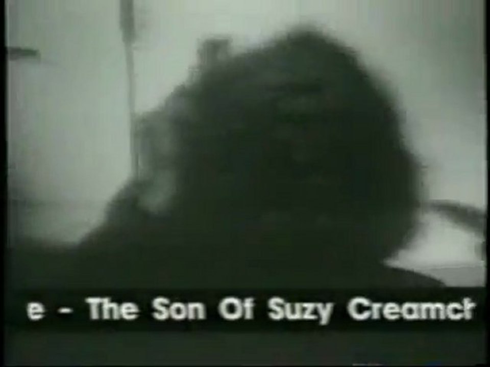 suzy creamchesse - frank zappa - teddy and his patches