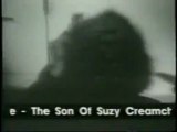 suzy creamchesse - frank zappa - teddy and his patches