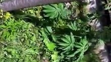 барби-домик поповой розы фёдоровны-приватуголок 009