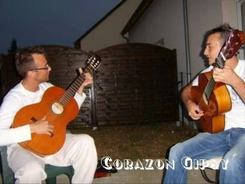 Telethon 2011 : Programme