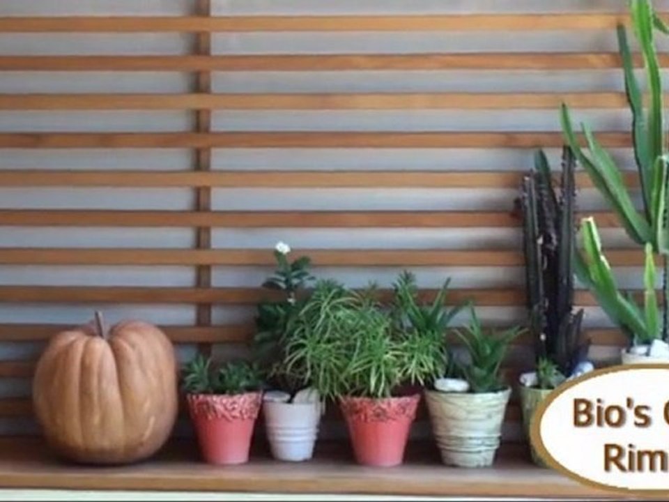 Bios cafè via bramante,7 Rimini