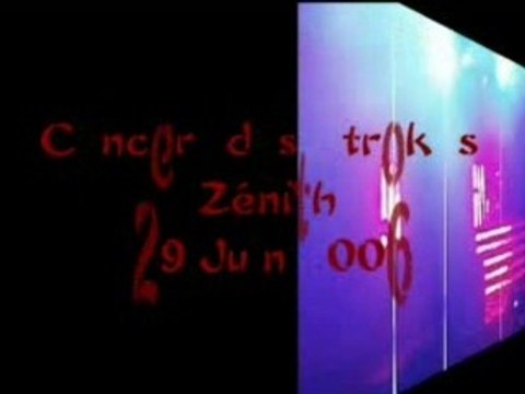 Concert des Strokes Zénith 2006