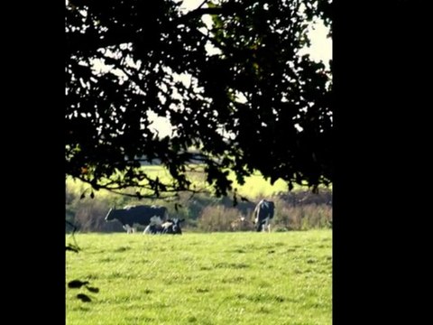 Après le soleil viendra la pluie... été indien à l'étang de Boulet - Feins(35)