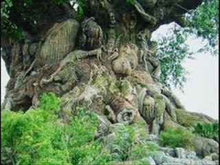 The Tree of Life HD Trailer Movie