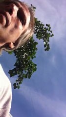 коля ростов 001