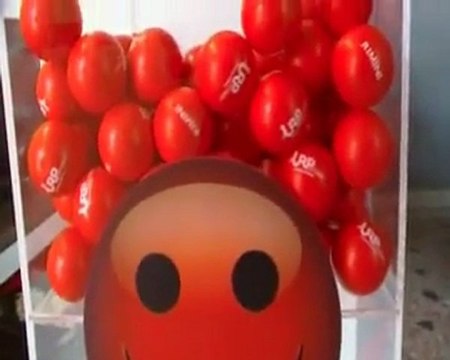 Altarimini.Nuovi spazi per più servizi: taglio del nastro della nuova Urp