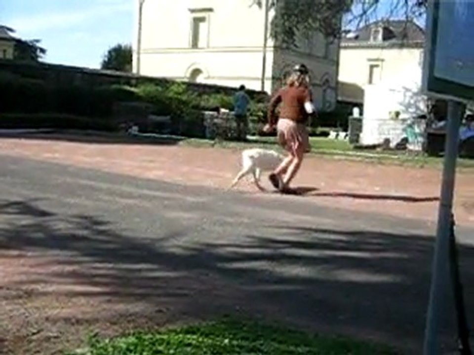 Centenaire Roiffé  9-9-11  Guidelle