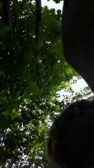 коля ростов 007