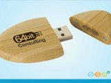 Custom Promotional USB Flash Drives Printed w/Logo