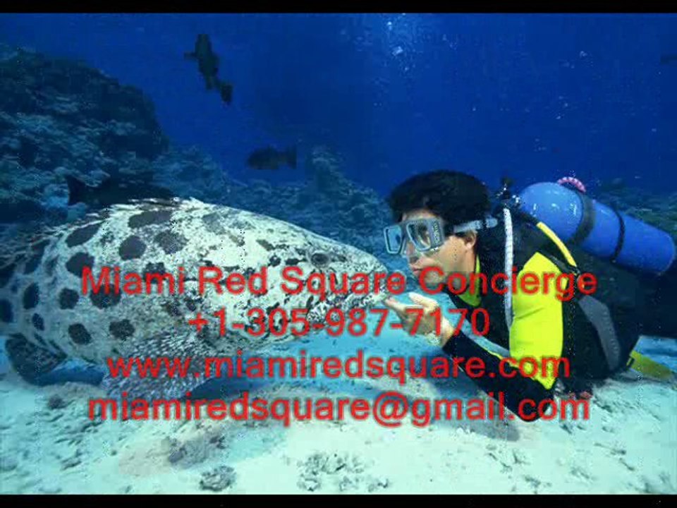 ШКОЛЫ И СТУДИИ ТАНЦЕВ В МАЙАМИ - ВАЛЬС, ТАНГО, ЛАТИНО.