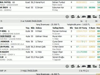 29 KASIM ADANA YARIŞ YORUMLARI