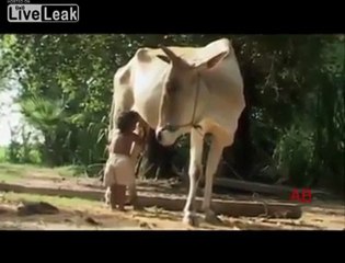 süper harika komik 2011 2012 videoları @ MEHMET ALİ ARSLAN Videos