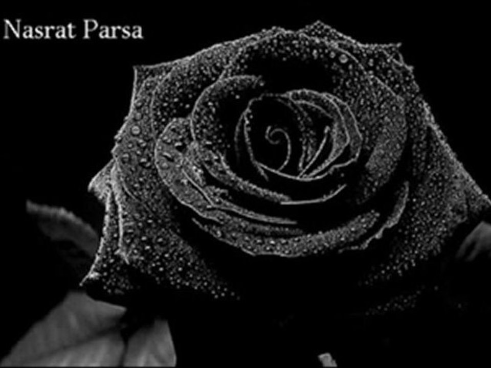 Nasrat Parsa - Lawanga