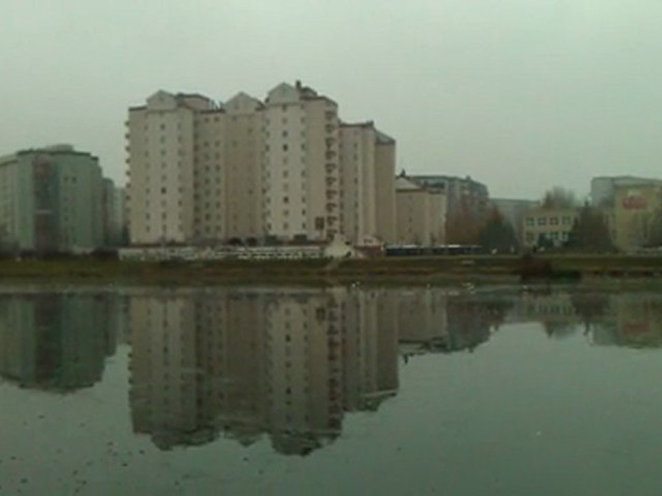 WP_20111117_111313Z