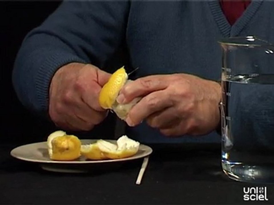 Le citron plongeur