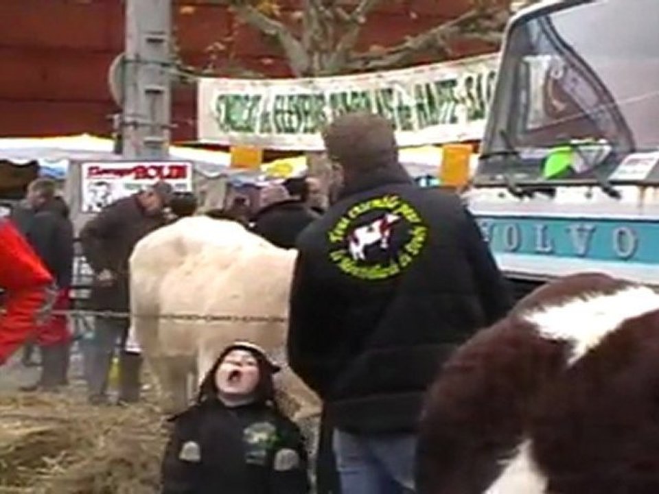 HAUTE-SAONE : VESOUL FETE SAINTE-CATHERINE