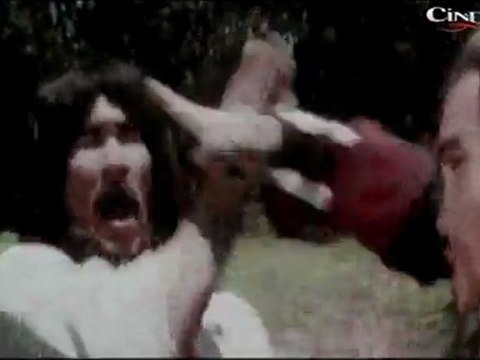 Best Action Scene From Cantonen Iron Kung Fu