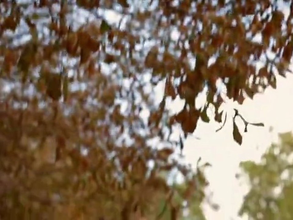 Emilie Simon - Mon Chevalier