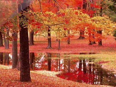 je t'écris que je t'aime