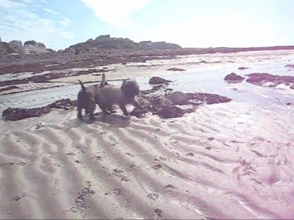 Les Cairns du bord de mer
