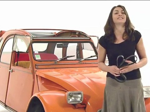 Courroie de distribution et alternateur