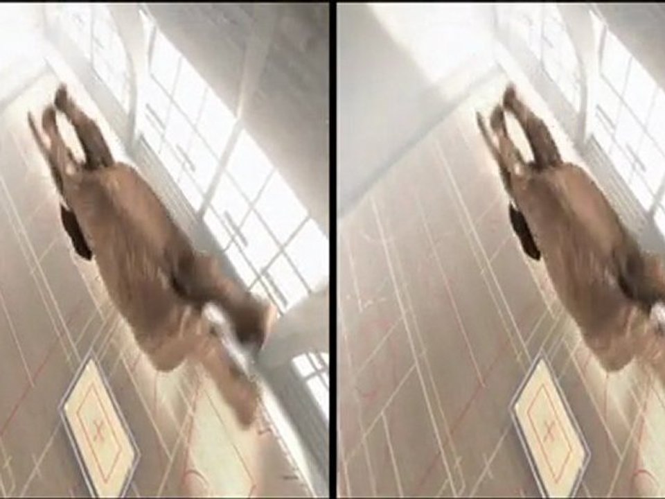 Le Clap de Fin - le mag 3D novembre 2011