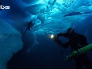 В глубинах ледовитого океана