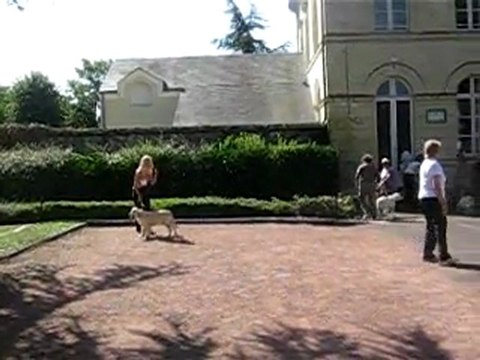 Centenaire Roiffé Guiness classe baby femelle 1