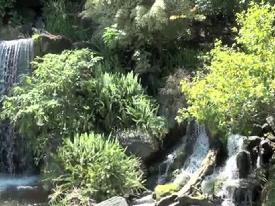 Trek Hollywood