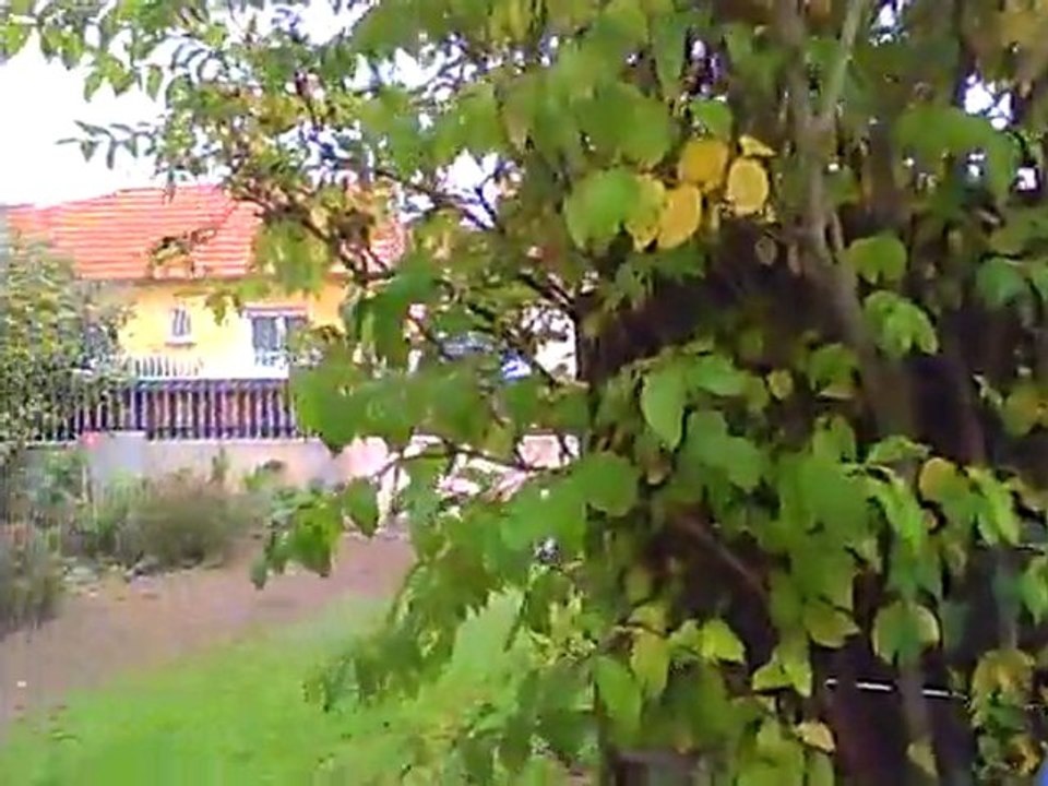 Il faut prendre le terreau par les cornes...