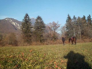 Pone'ch travail à pied.