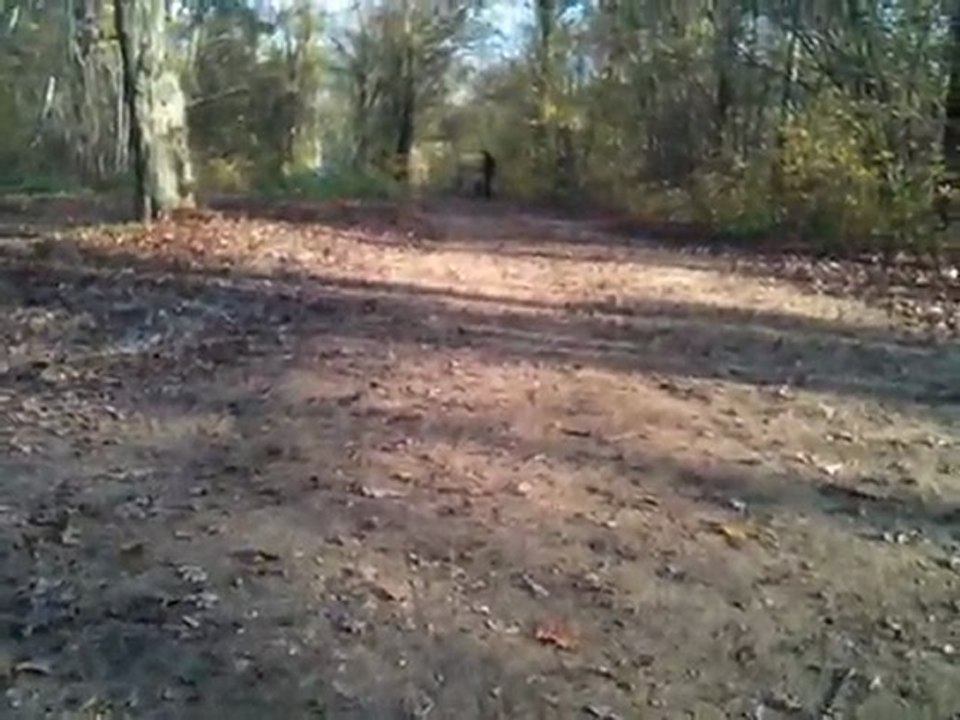 Rustler Rusty Aureli1 4S Mamba Max Pro - Leopard 3900kv 4 pole OK