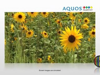 Cyber Monday LC40LE830U Sale