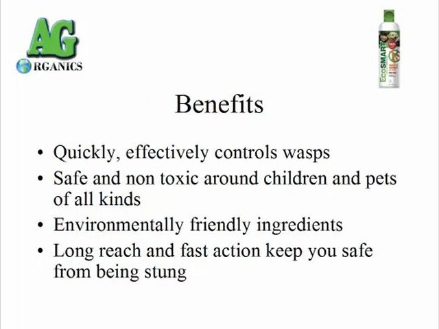 EcoSMART Wasp & Hornet Killer