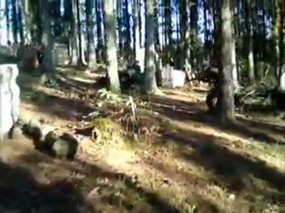 Iroise Airsoft, multiteam, gast