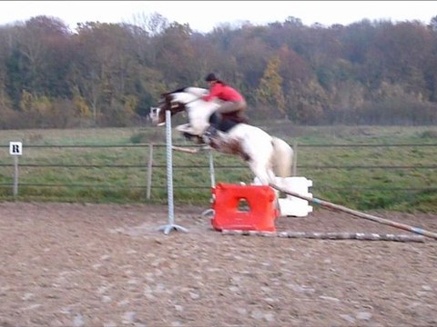 Malcom puissance saut obstacle