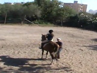 me et ma jument louloute!